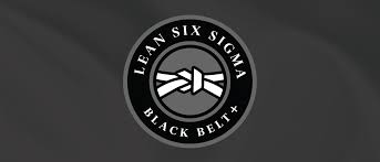 Lean Six Sigma Black Belt